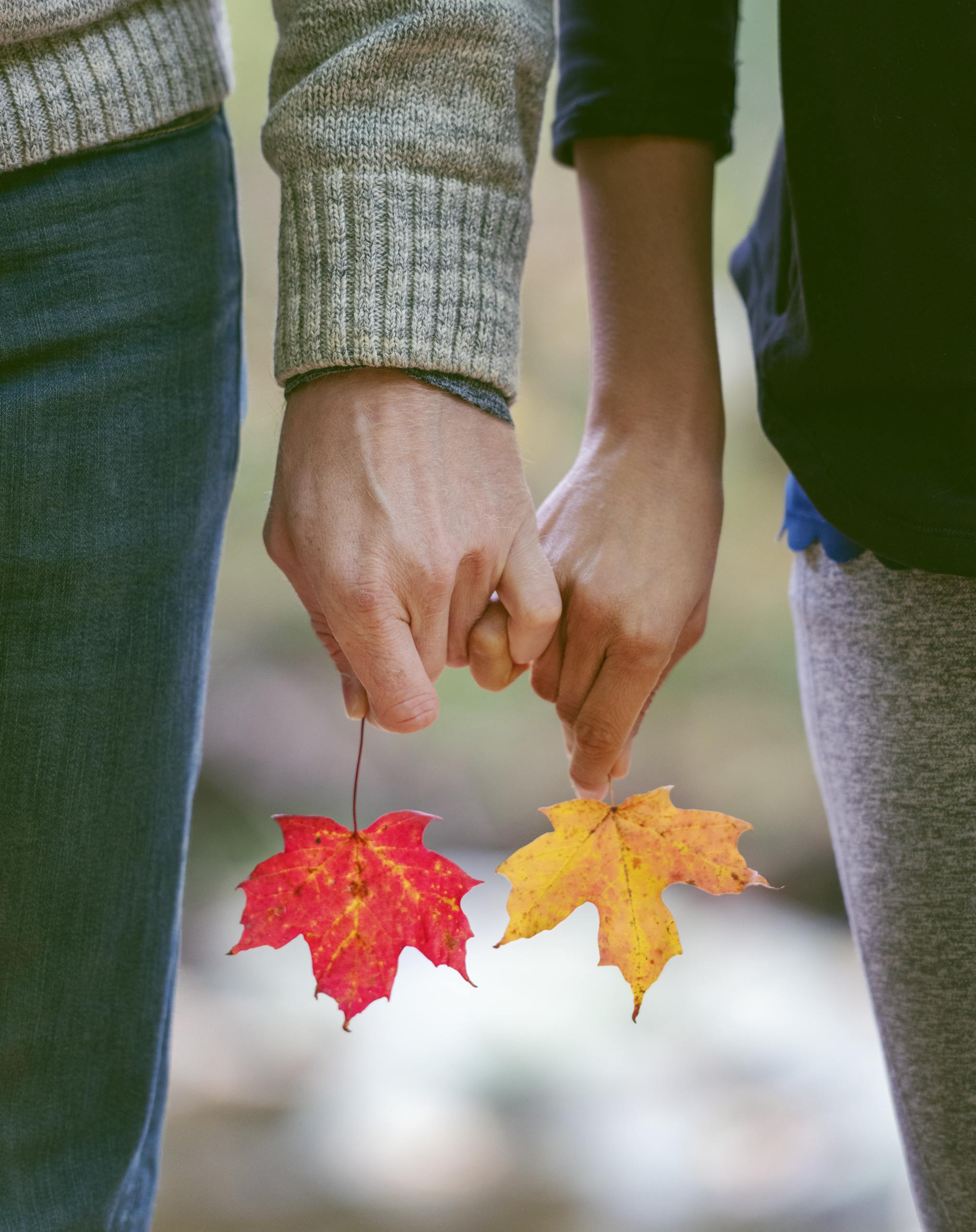 Two adults holding hands in an outdoor park setting, symbolizing trust and connection.